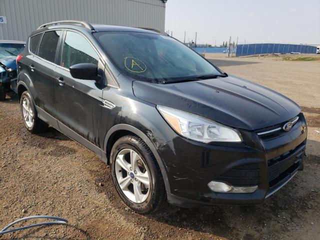 FORD ESCAPE SE 2014 with VIN 1FMCU9G99EUD96659 - Photo from auction