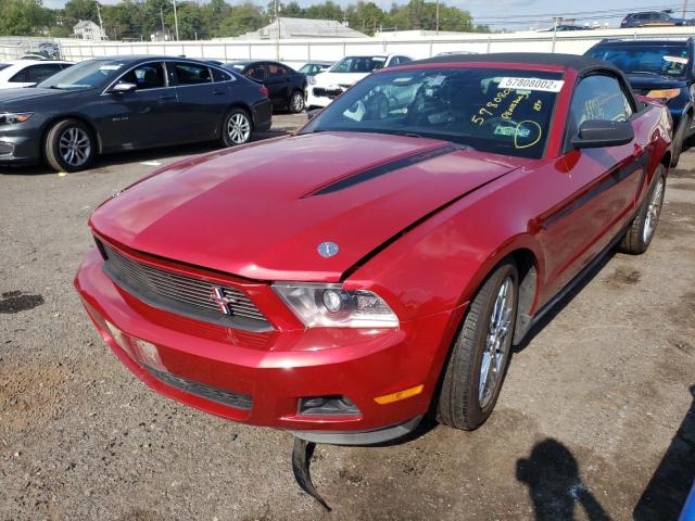 Photo 2 from auction – 2011 FORD MUSTANG with VIN 1ZVBP8EM8B5123546