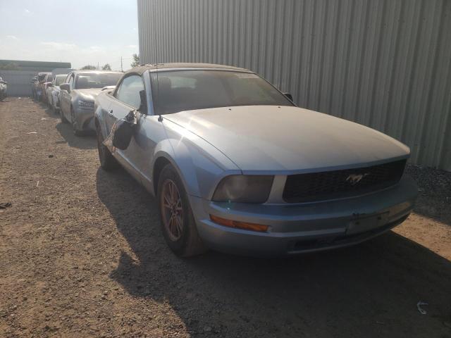 FORD MUSTANG 2005 with VIN 1ZVFT84N855250180 - Photo from auction