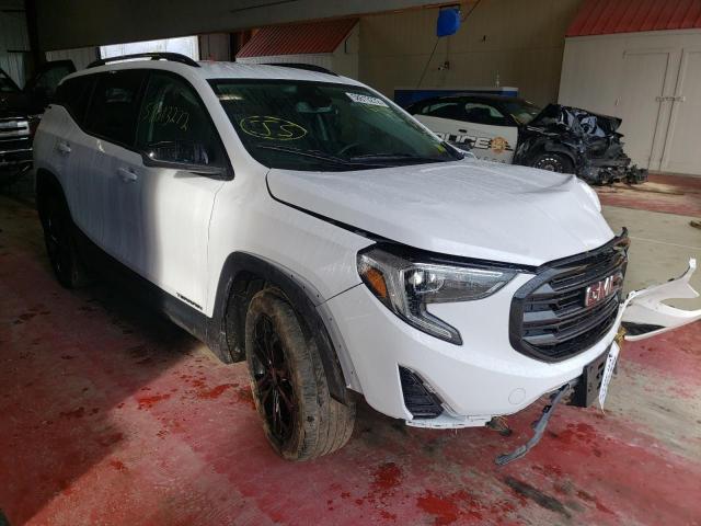 GMC TERRAIN SL 2020 with VIN 3GKALTEV1LL182644 - Photo from auction