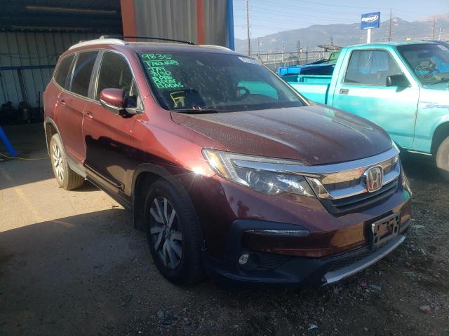 HONDA PILOT EXL 2019 with VIN 5FNYF6H5XKB059694 - Photo from auction