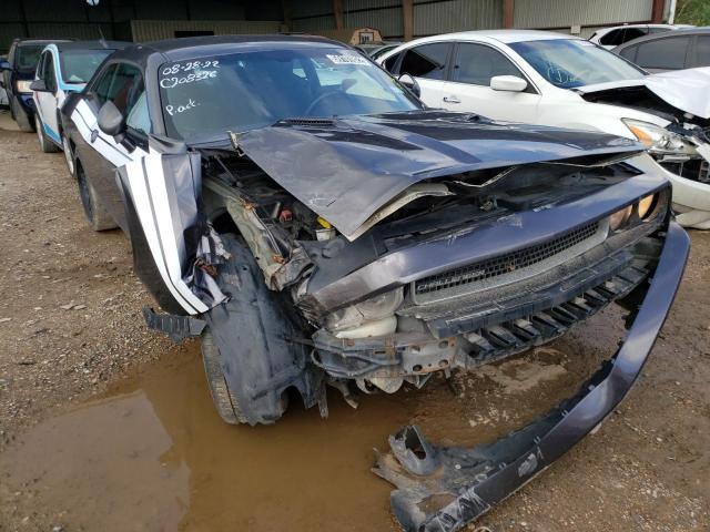 DODGE CHALLENGER 2013 with VIN 2C3CDYAG3DH569815 - Photo from auction