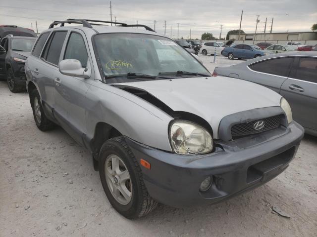 HYUNDAI SANTA FE G 2004 with VIN KM8SC13D64U691954 - Photo from auction