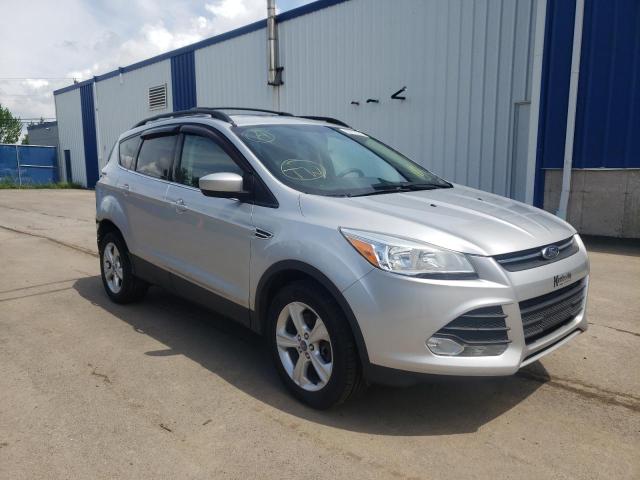 FORD ESCAPE SE 2013 with VIN 1FMCU0G96DUA75432 - Photo from auction