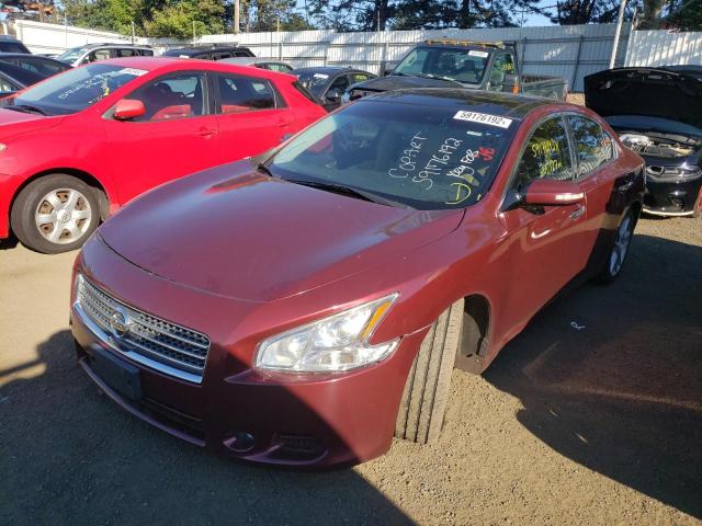 Photo 2 from auction – 2009 NISSAN MAXIMA S with VIN 1N4AA51E79C843980