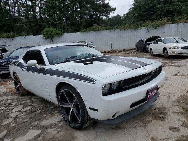 DODGE CHALLENGER 2010 with VIN 2B3CJ4DV1AH313127 - Photo from auction