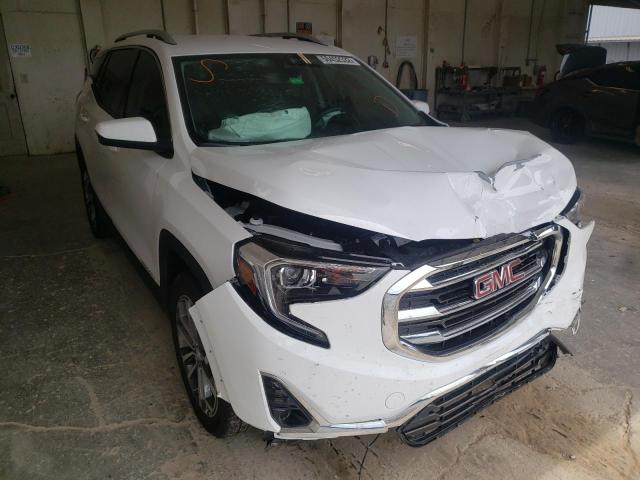 GMC TERRAIN SL 2021 with VIN 3GKALPEVXML397867 - Photo from auction