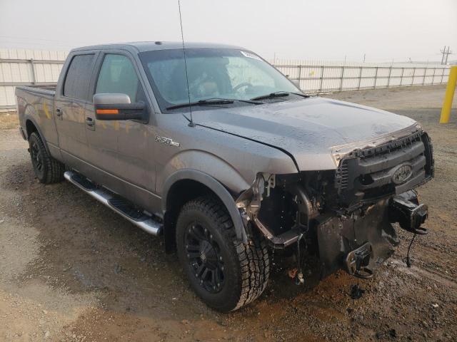 FORD F150 SUPER 2010 with VIN 1FTFW1EV7AFB41553 - Photo from auction