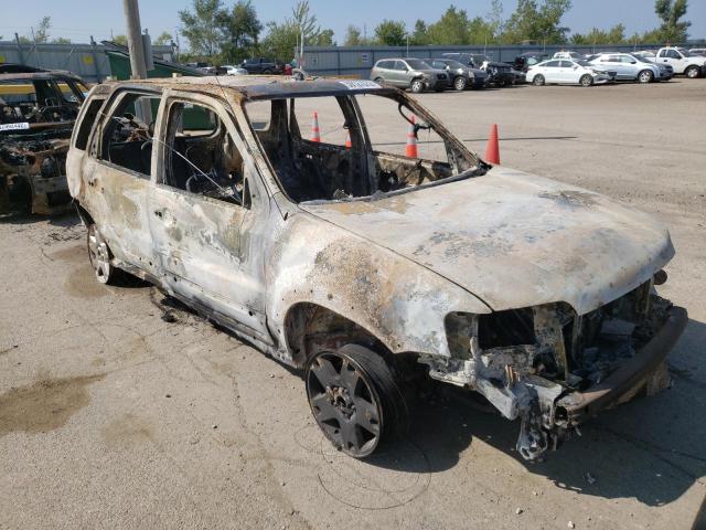 Photo 1 from auction – 2003 FORD ESCAPE XLT with VIN 1FMYU93113KB77208