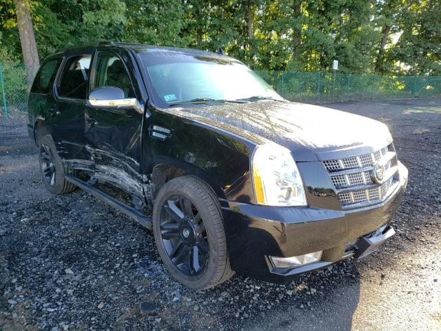 CADILLAC ESCALADE P 2013 with VIN 1GYS4CEFXDR148194 - Photo from auction