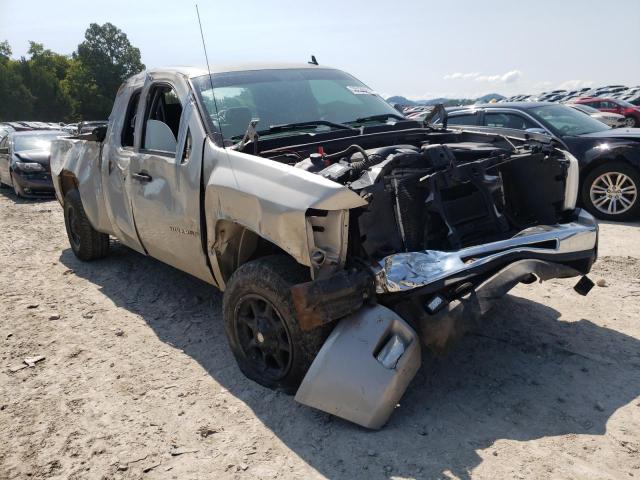CHEVROLET SILVERADO 2009 with VIN 1GCEK29J19Z157889 - Photo from auction