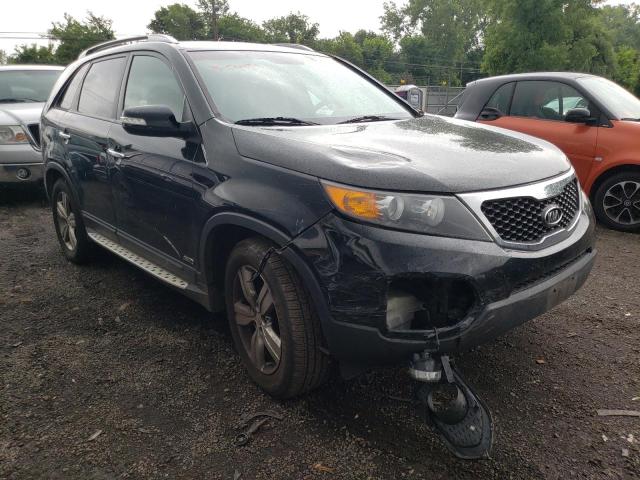 KIA SORENTO EX 2012 with VIN 5XYKUDA24CG301521 - Photo from auction