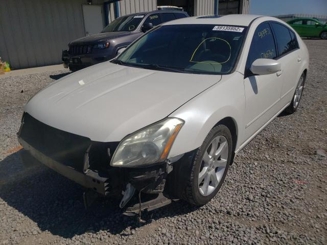 Photo 2 from auction – 2008 NISSAN MAXIMA SE/ with VIN 1N4BA41E08C803897