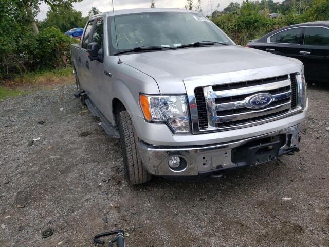 FORD F150 SUPER 2010 with VIN 1FTEW1C85AFA60012 - Photo from auction