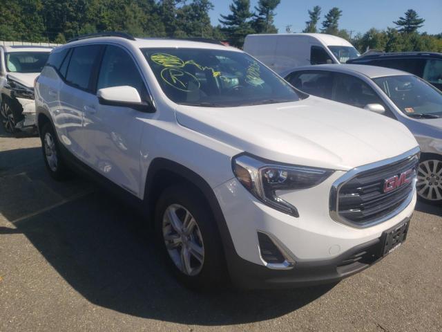 GMC TERRAIN SL 2021 with VIN 3GKALTEV8ML362818 - Photo from auction