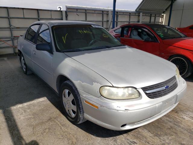 CHEVROLET MALIBU 2001 with VIN 1G1ND52J216161261 - Photo from auction