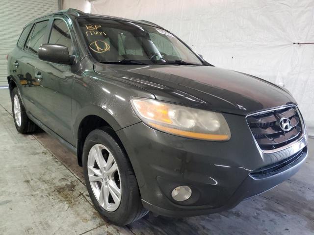 HYUNDAI SANTA FE 2010 with VIN 5NMSK4AG5AH342549 - Photo from auction