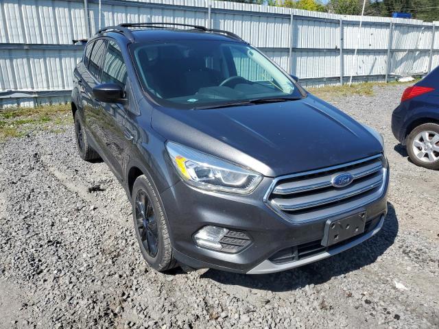 FORD ESCAPE SE 2017 with VIN 1FMCU9GD5HUD02432 - Photo from auction
