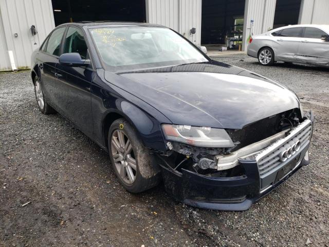 AUDI A4 PREMIUM 2010 with VIN WAUAFAFL3AN031092 - Photo from auction