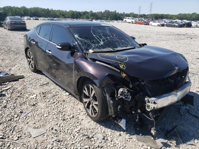 NISSAN MAXIMA 3.5 2017 with VIN 1N4AA6AP2HC361424 - Photo from auction