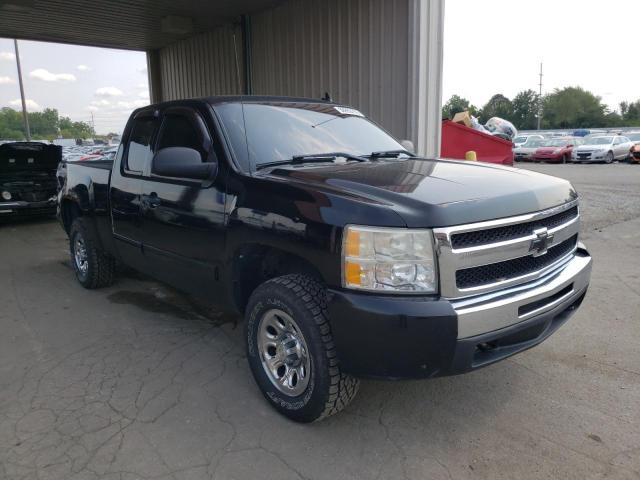 CHEVROLET SILVERADO 2009 with VIN 1GCEK29029Z297392 - Photo from auction