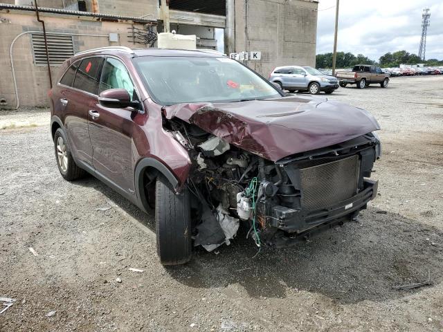 KIA SORENTO LX 2016 with VIN 5XYPGDA37GG128251 - Photo from auction