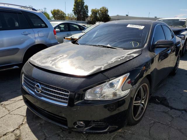 Photo 2 from auction – 2009 NISSAN MAXIMA S with VIN 1N4AA51E89C845494