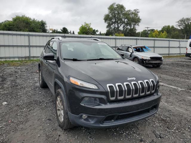 JEEP CHEROKEE L 2014 with VIN 1C4PJMCB0EW124287 - Photo from auction