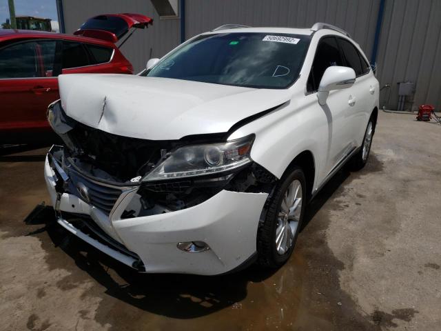 Photo 2 from auction – 2013 LEXUS RX 350 with VIN JTJZK1BA3D2008159