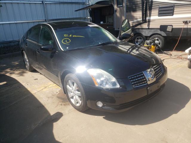NISSAN MAXIMA SE 2005 with VIN 1N4BA41E45C859725 - Photo from auction