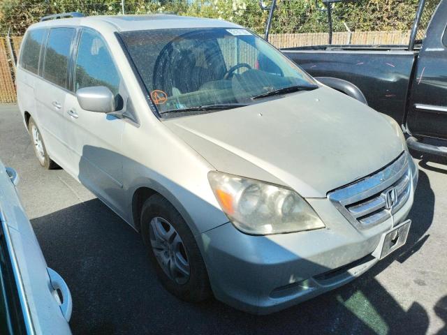 HONDA ODYSSEY 2005 with VIN 5FNRL38655B041290 - Photo from auction