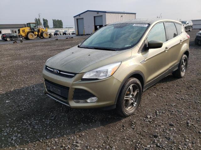 Photo 2 from auction – 2013 FORD ESCAPE SE with VIN 1FMCU9G98DUD18369