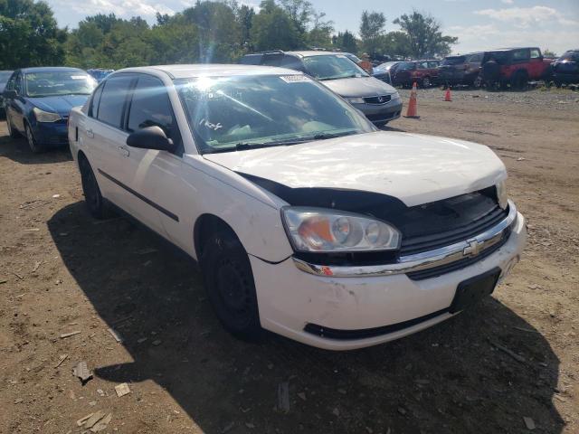 CHEVROLET MALIBU 2005 with VIN 1G1ZS52F95F339806 - Photo from auction