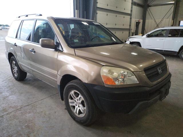 HONDA pilot exl 2005 with VIN 5FNYF18585B060799 - Photo from auction