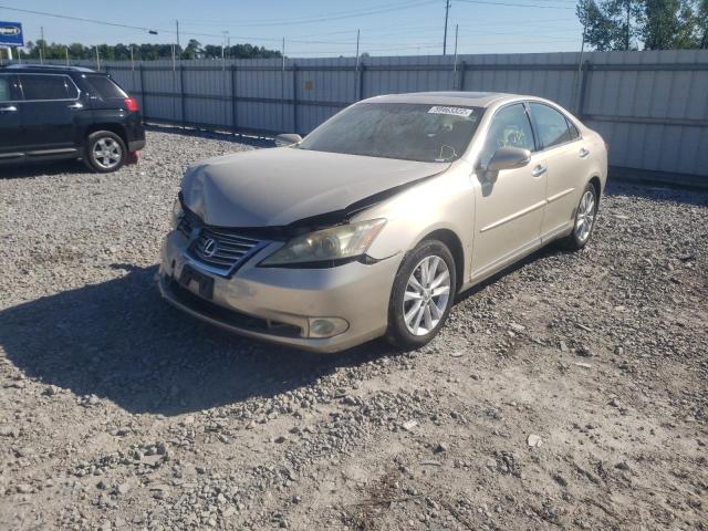 Photo 2 from auction – 2010 LEXUS ES 350 with VIN JTHBK1EG5A2403877