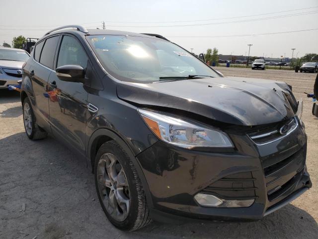 FORD ESCAPE TIT 2014 with VIN 1FMCU0J91EUD86146 - Photo from auction