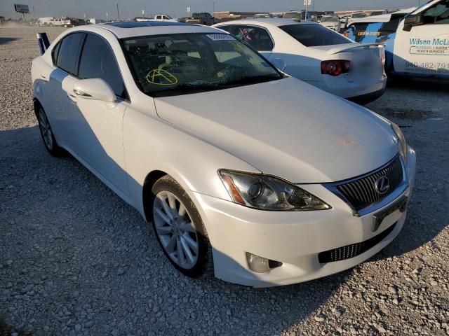 LEXUS IS 250 2009 with VIN JTHBK262295096168 - Photo from auction