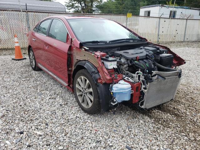 HYUNDAI SONATA SPO 2017 with VIN 5NPE34AF4HH566331 - Photo from auction