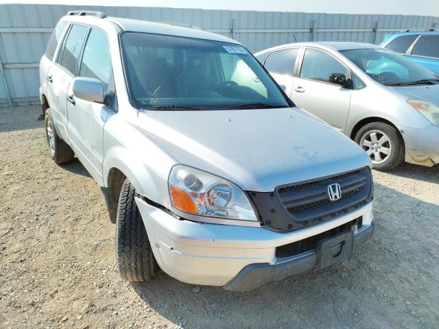 HONDA PILOT EX 2005 with VIN 2HKYF18475H562955 - Photo from auction
