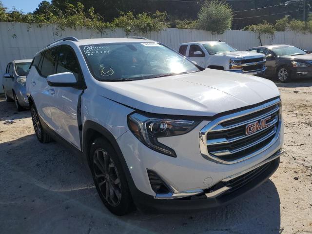 GMC TERRAIN SL 2019 with VIN 3GKALPEV5KL189425 - Photo from auction