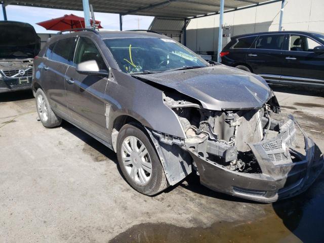 CADILLAC SRX 2011 with VIN 3GYFNGEY4BS679005 - Photo from auction