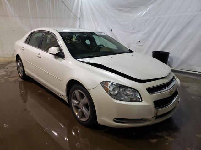 CHEVROLET MALIBU 2LT 2010 with VIN 1G1ZD5EB4AF118773 - Photo from auction