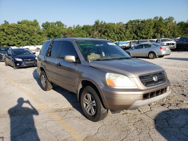 HONDA PILOT EX 2004 with VIN 2HKYF18464H504575 - Photo from auction
