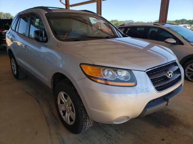 HYUNDAI SANTA FE G 2009 with VIN 5NMSG13DX9H254823 - Photo from auction
