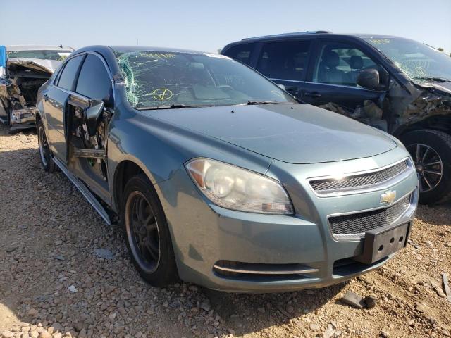 CHEVROLET MALIBU 1LT 2009 with VIN 1G1ZH57B79F236331 - Photo from auction