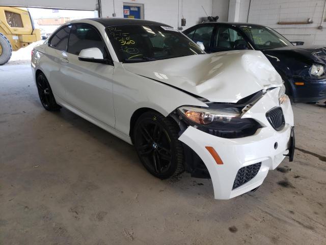 BMW 228 XI 2015 with VIN WBA1F7C53FVX96223 - Photo from auction