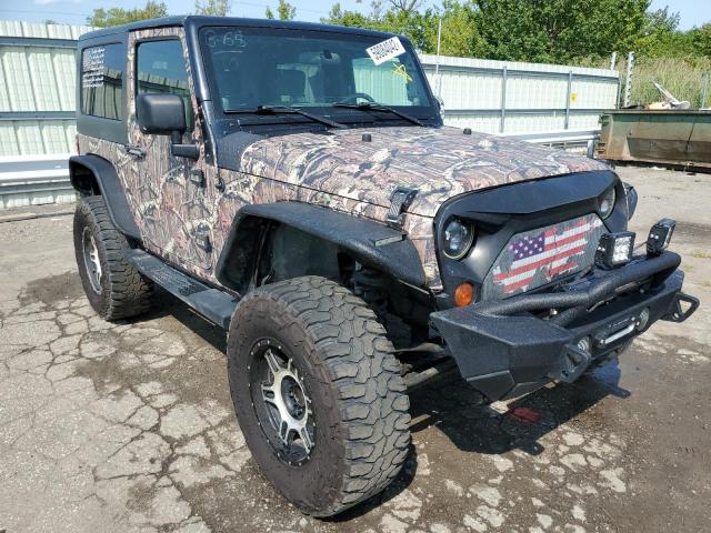 JEEP WRANGLER S 2010 with VIN 1J4AA2D12AL204146 - Photo from auction
