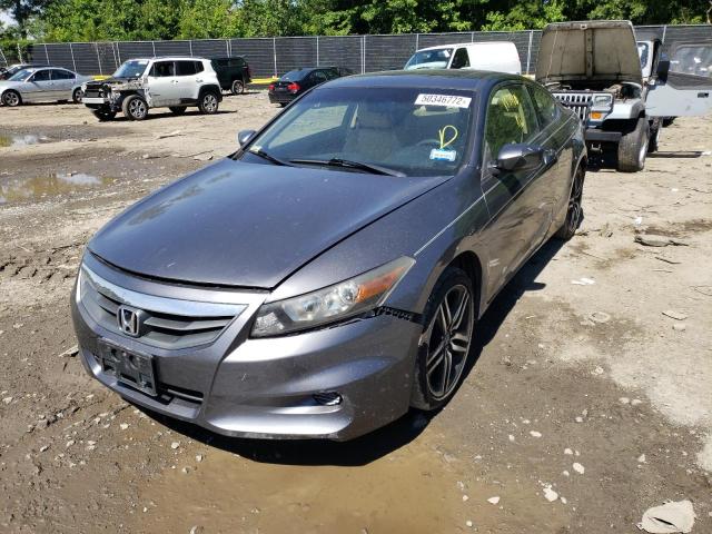 Photo 2 from auction – 2010 HONDA ACCORD EX with VIN 1HGCS1B76AA004705