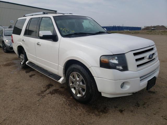 FORD EXPEDITION 2009 with VIN 1FMFU20529EA78071 - Photo from auction