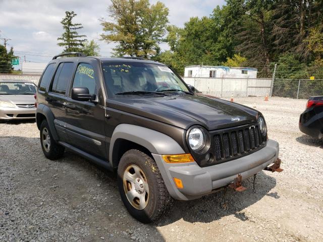 JEEP LIBERTY SP 2005 with VIN 1J4GL48K25W558286 - Photo from auction